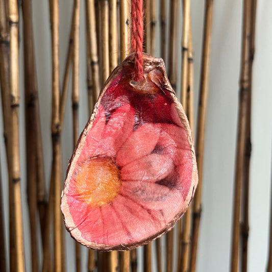 Pink Daisy Oyster Ornament